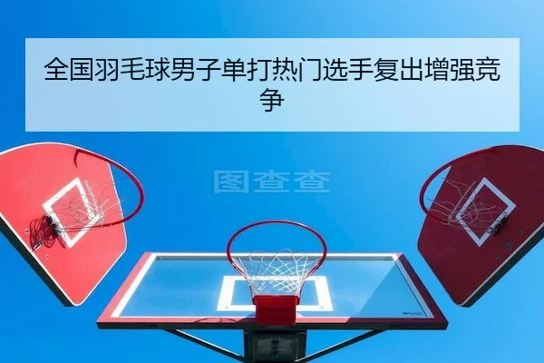 全国羽毛球男子单打热门选手复出增强竞争 - SPORTS
